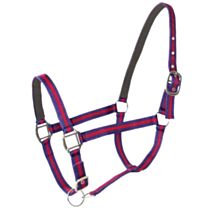 Licol double cuir cheval bleu/rouge x2