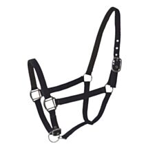 Licol double cuir cheval noir x2