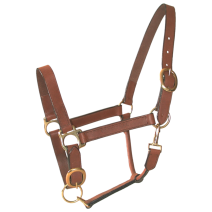 Licol Cuir Huile Poney Marron