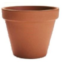 Pot standard 17cm