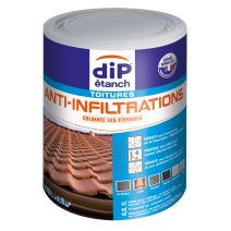DIP ANTI-INFILTRATIONS 0.75L GRIS CIMENT