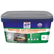 DIP PEINTURE ANTI-CONDENSATION BLANC 2.5L