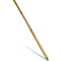 Tuteur Fraisé Ø5xl150cm CERLAND