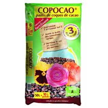 copocao coques de cacao  - TERRE & NATURE