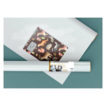 Film Adhésif Déco Transp Mat 67X200cm C3411