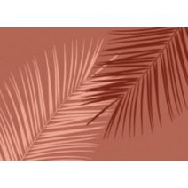 Tapis intérieur absorbant Vertueux Tropic 75x50cm - CORYL