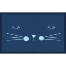 Tapis intérieur absorbant Access Sweetcat 60x40cm - CORYL