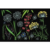 Tapis d'entrée Access Champetre 60x40cm