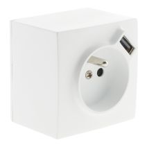 Prise 2p+t + usb 2.4a en saillie blanc ral 9010