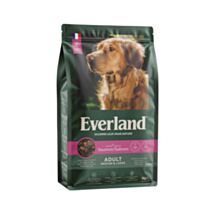 Croquettes pour chien adulte medium & large saveur saumon - EVERLAND