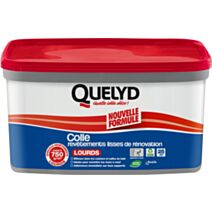 Quelyd Colle Revêtement Lisse de Rénovation Lourds 5kg - QUELYD