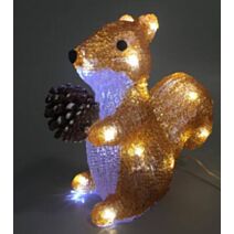 Ecureuil extérieur 20 LED fixe 20cm - FEERIC LIGHTS & DREAMS