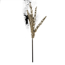 Branche 5 feuilles Paille Or 100cm