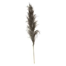 Herbe de la pampa Gobi naturelle brune H110 x3 - ATMOSPHERA
