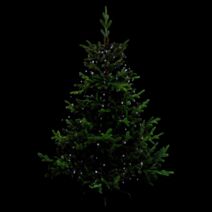 Guirlande manteau 170l. 8f blanc froid