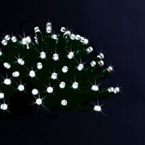 Guirlande extérieure éléctrique 100 LED Blanc Froid 5m