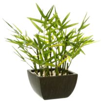 Bambou artificiel en pot H35 cm - ATMOSPHERA