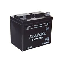 Batterie 12V - 24 A avec positif à droite - TASHIMA
