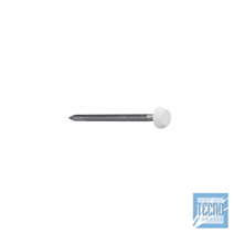 Boite de 250 pointe a tete PVC pour planche de rive couleur blanche - longueur 40mm