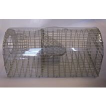 NASSE A RAT MULTIPRISE