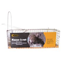 NASSE A RAT 1 ENTREE