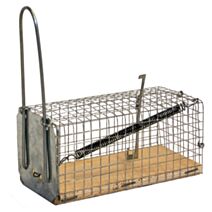 Nasse souris socle bois