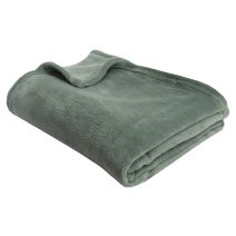 Plaid Polyester Coral Fleece 150x120cm Vert Celadon