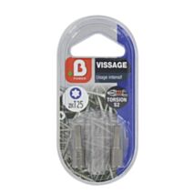 2 Embouts torsion T20 25 mm - INVENTIV