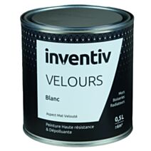 Peinture haute résistance & dépolluante Velours 0,5L Gris zinc GZ4 - INVENTIV