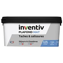 Peinture plafond tâches et salissures mat Plafond & séjour 2,5L - INVENTIV