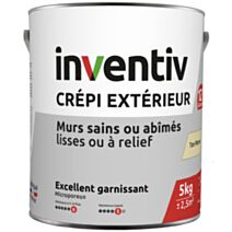 Crépi extérieur professionnel ton pierre 5kg - INVENTIV