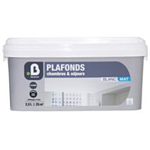 Peinture Plafonds Chambres & Séjours  Blanc mat  5L - B RESIST