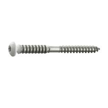 6 vis tête ronde fixation fenêtre PVC sur bois 6x60 - INVENTIV