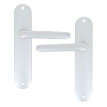 Poignée de porte sur plaque bdc Chamonix aluminium argent entraxe 165mm - 1ER