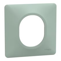Plaque simple Ovalis sauge - SCHNEIDER ELECTRIC