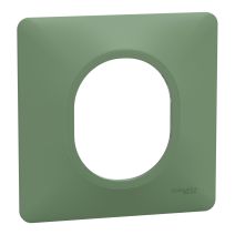 Plaque simple Ovalis vert forêt - SCHNEIDER ELECTRIC