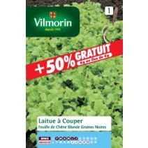 graine de laitue feuille de chene  - VILMORIN