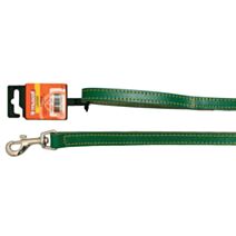 LAISSE PIQUE SIMPLE VERT CROUTE 12MM/1M