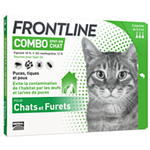 Frontline combo chat