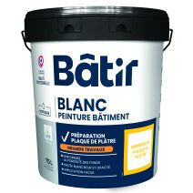 Peinture mur/plafond impression plaque de plâtre 15 l blanc