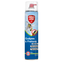 Insecticide Guêpes et frelons jet longue portée 600ml - PROTECT EXPERT