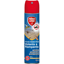 Insecticide Tous insectes Volants & Rampants 600ml - PROTECT EXPERT
