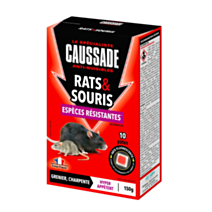 Rats-Souris Pate Fluo 150gr