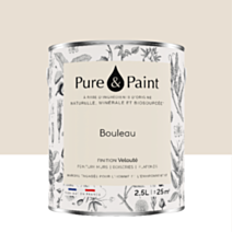 Peinture Multi-Supports Velours Bouleau 2,5L - PURE & PAINT