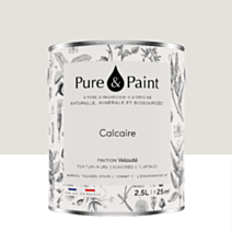 Peinture Multi-Supports Velours Calcaire 2,5L - PURE & PAINT
