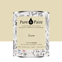 Peinture Multi-Supports Velours Dune 2,5L - PURE & PAINT
