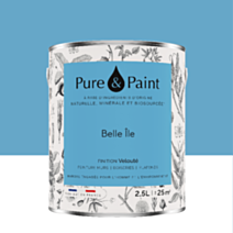 Peinture Multi-Supports Velours Belle Ile 2,5L - PURE & PAINT