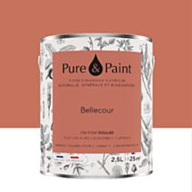 Peinture Multi-Supports Velours Bellecour 2,5L - PURE & PAINT