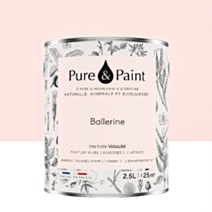 Peinture Multi-Supports Velours Ballerine 2,5L - PURE & PAINT