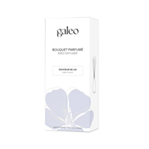 Diffuseur Rotins Douceur de Lin 100ml - GALEO